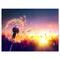 Designart - Dandelion at Sunset Freedom to Wish - Abstract Wall Art Canvas